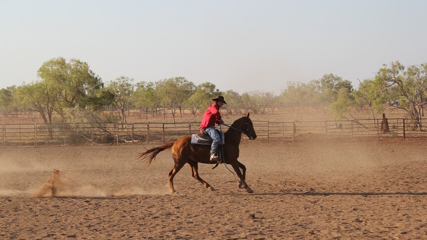 a man on a horse in a dirt arena