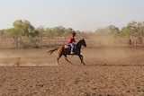 a man on a horse in a dirt arena