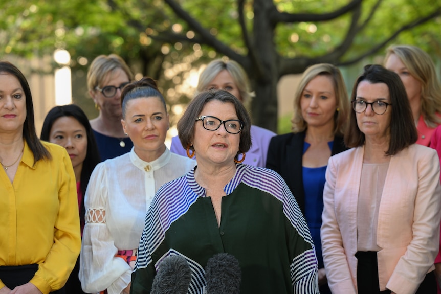Ged Kearney gives a press conference in front of a range of female senators at Parliament House