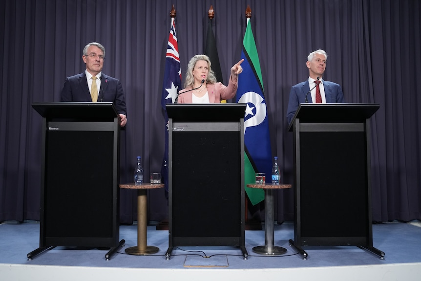 Mark Dreyfus, Clare O'Neil and Andrew Giles at a press conference.