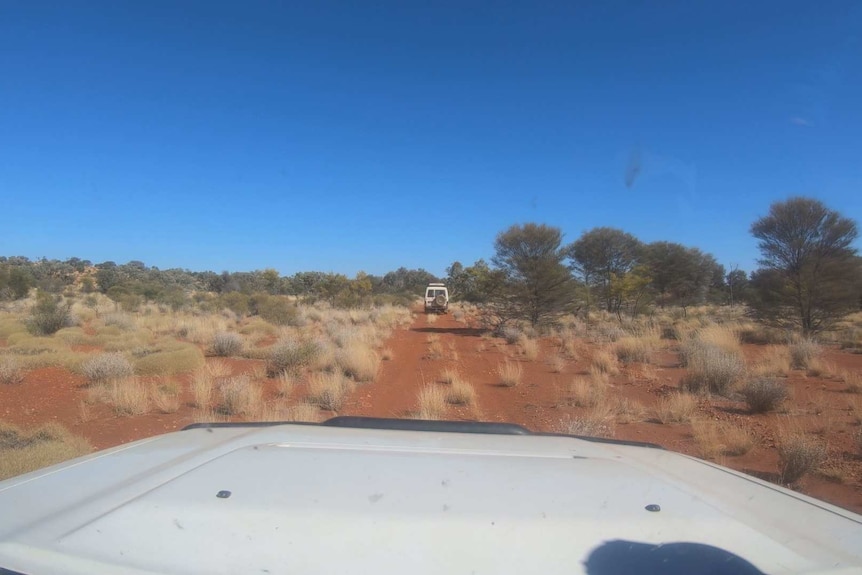 A remote desert track near the tri-state border, similar to the conditions faced by Ms Phillips.