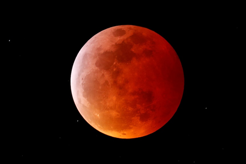Clear, zoomed in image of the moon, with a reddish orange hue over it.