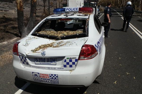 Police car damaged from fallen tree at bushfire ground