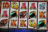 Close up of screen of poker machine.