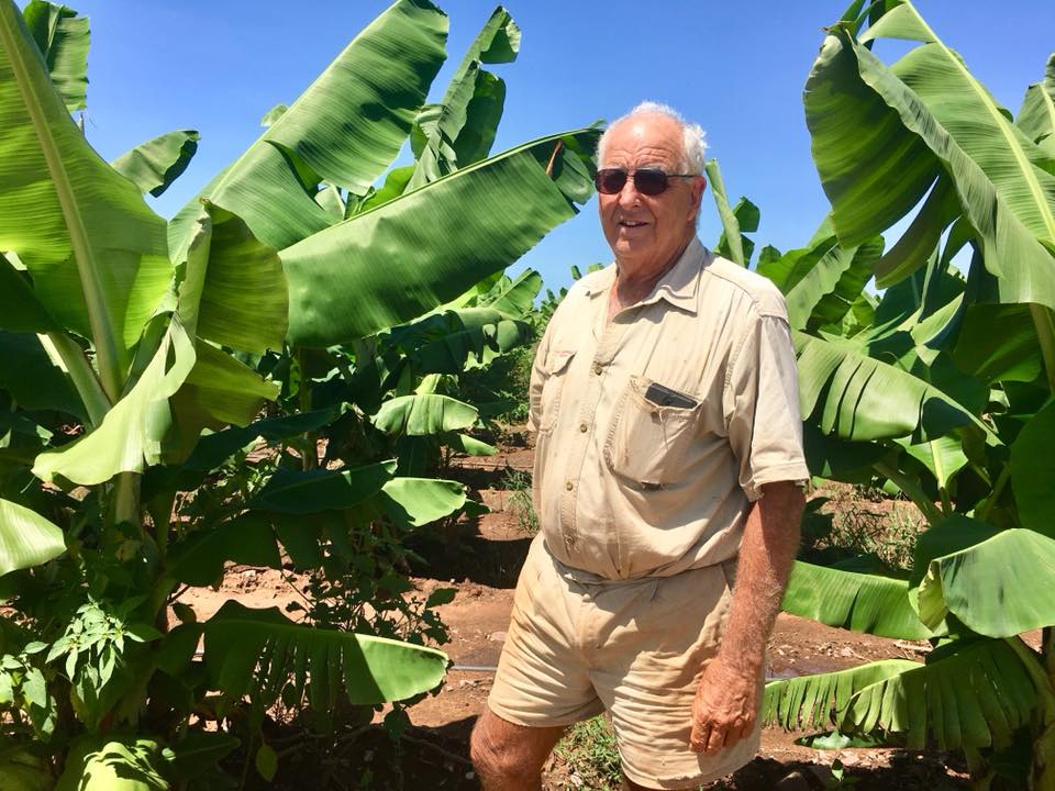 An older male farmer in front of banana crops