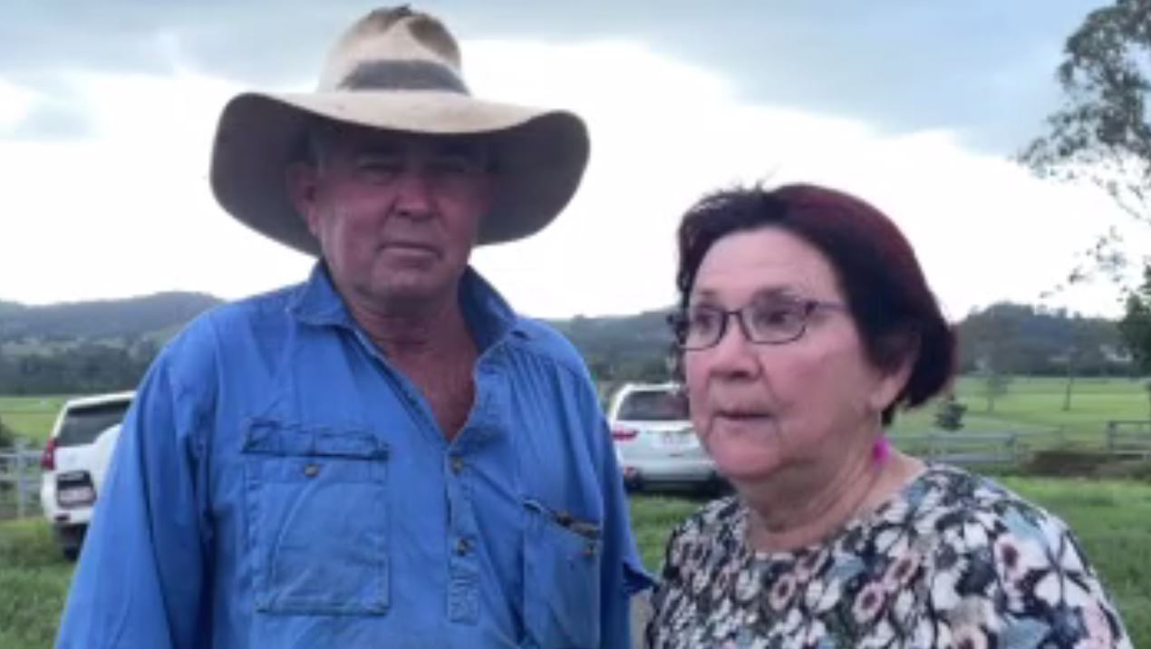 [Image: 69ab425d0fb0846024d784e720197835?impolic...height=575]