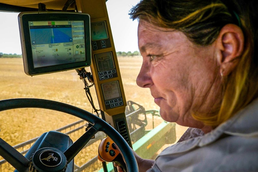 A woman drives a grain harvester