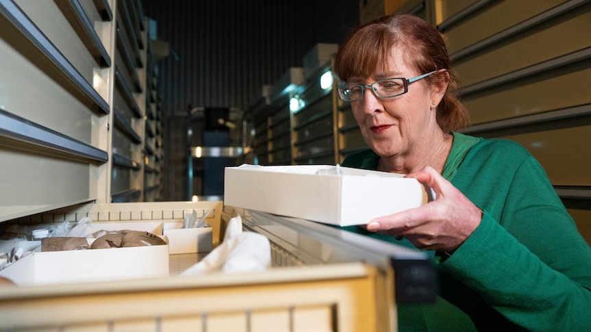 A woman looks pleased while holding a box from a drawer in a room lined with drawers.