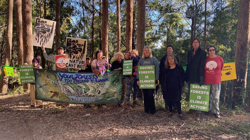 Group of people standing in the forest holding up signs protesting against logging of koala habitat