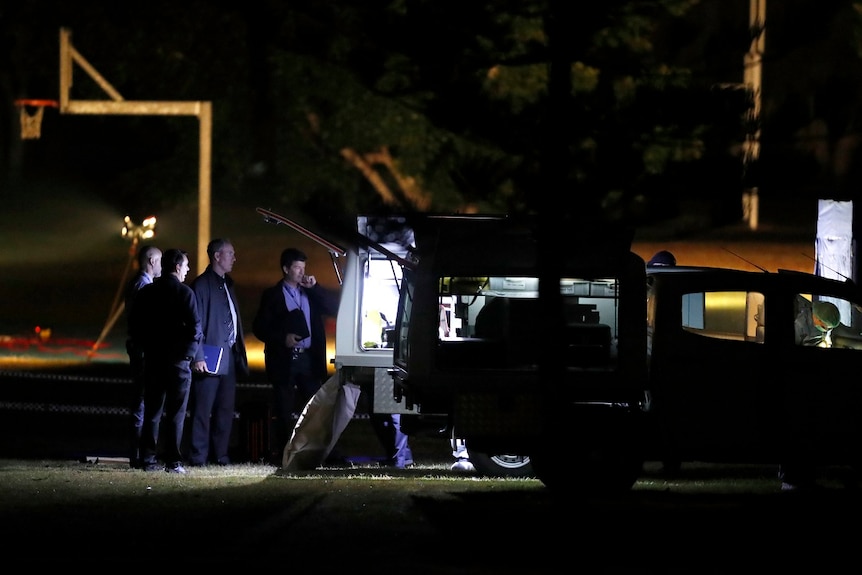 Detectives stand around a police car at the park at night.