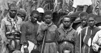 A group of Pacific Islander men and women working on a plantation in Queensland, 1890.