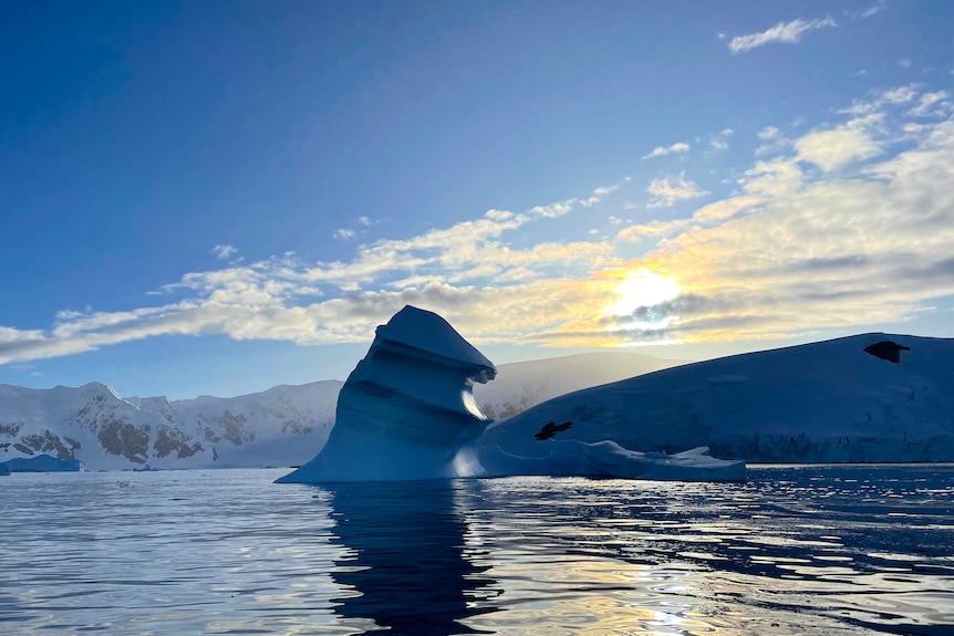 ice in ocean