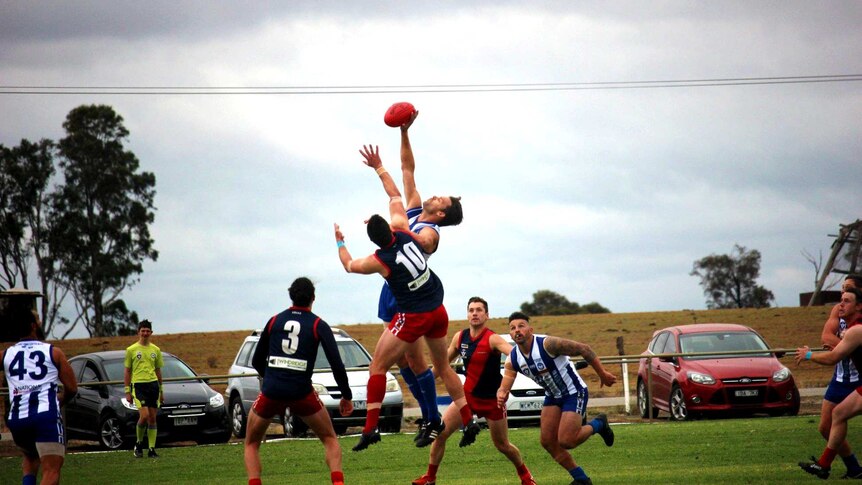 Players go up for the ruck in an Australian Football League game.