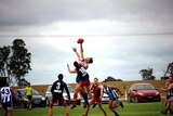 Players go up for the ruck in an Australian Football League game.
