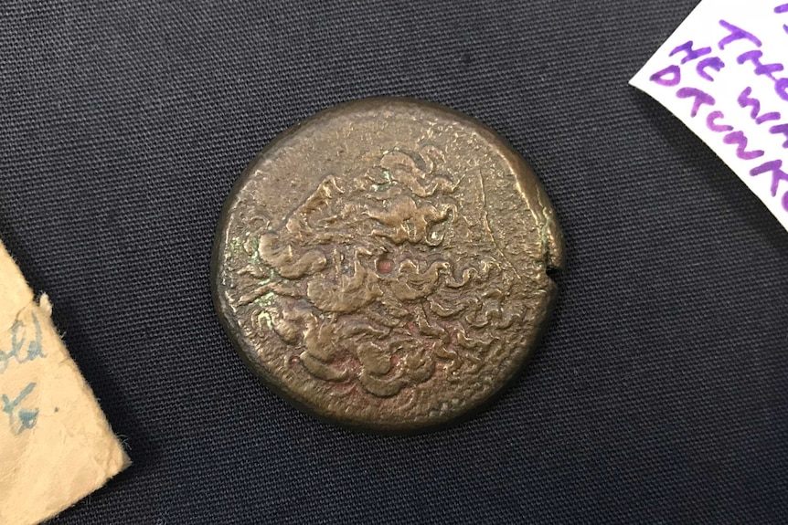 An ancient Egyptian coin lays face up on a black cotton mat at the Cairns Museum.