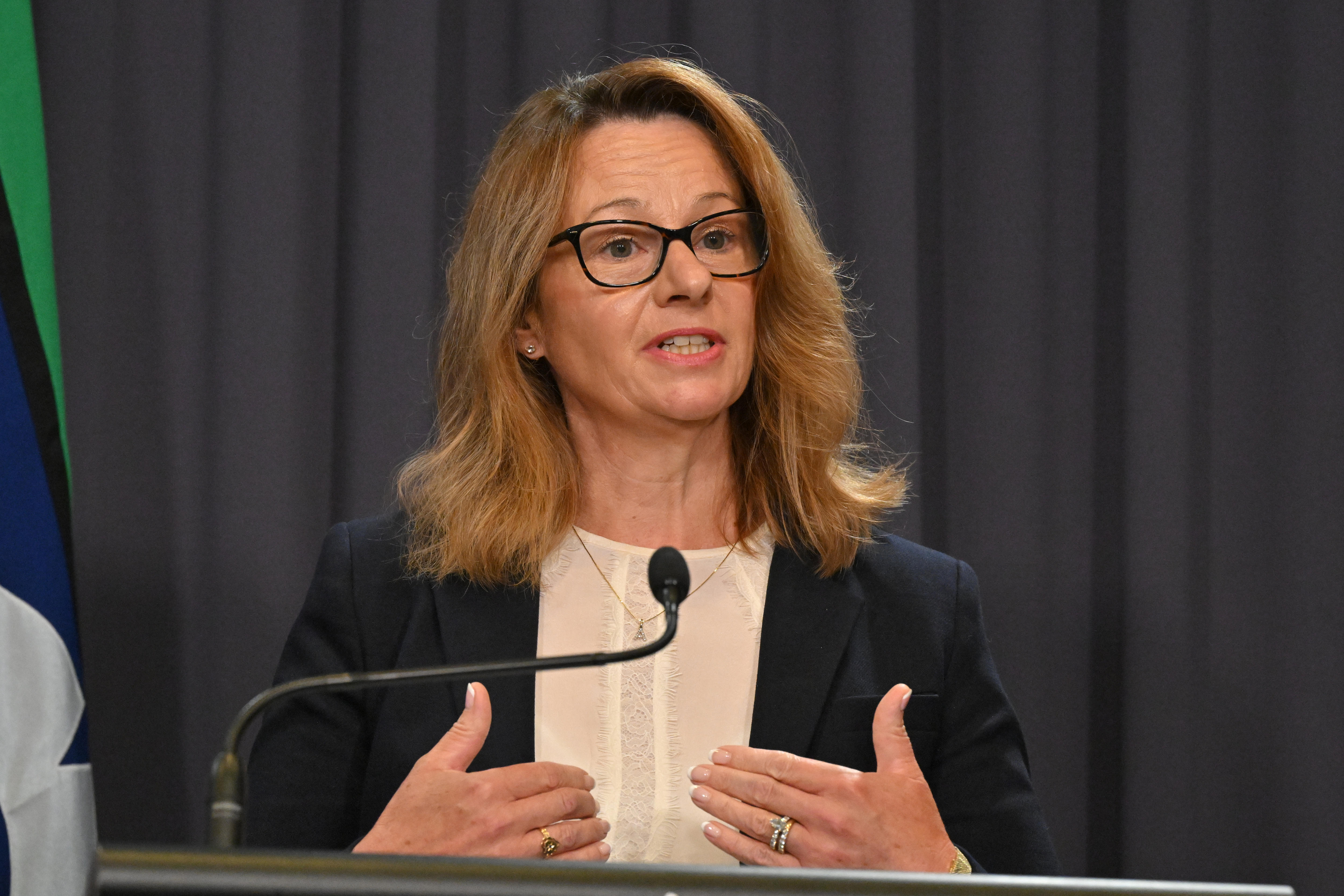 Australia needs AI 'early warning system', cyber security chief says