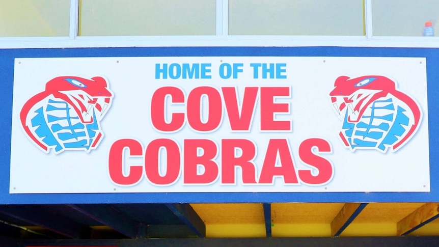 A sign with the words Cove Cobras and snakes holding footballs