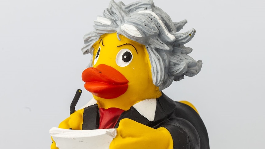 A rubber duck designed to look like Beethoven
