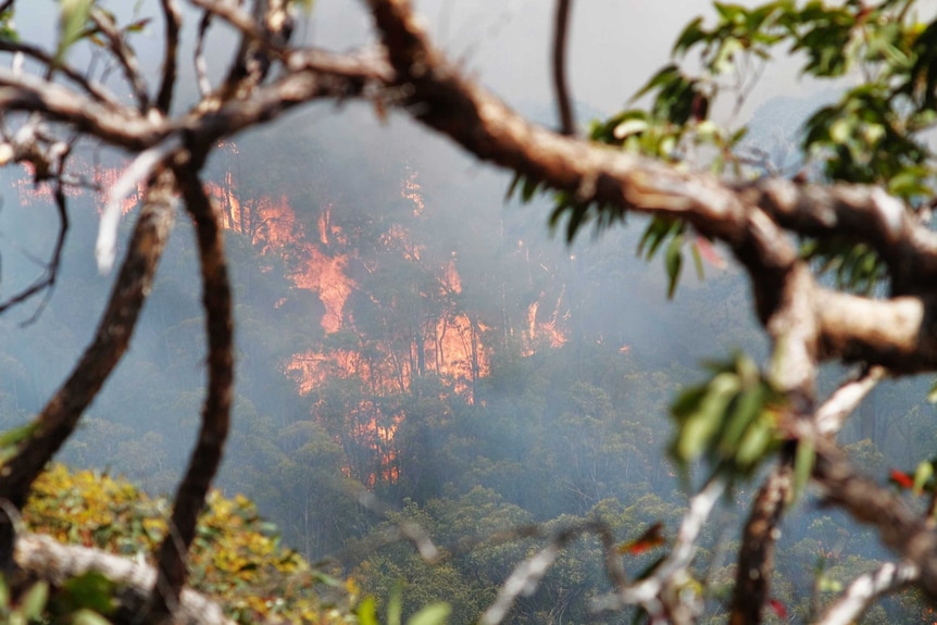 Warrimoo bushfire blue mountains