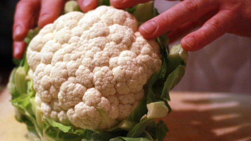 Head of cauliflower