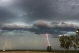 Lightning hitting a tree at West Prairie on the Darling Downs.