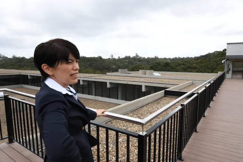 A woman standing on the roof of a large building.