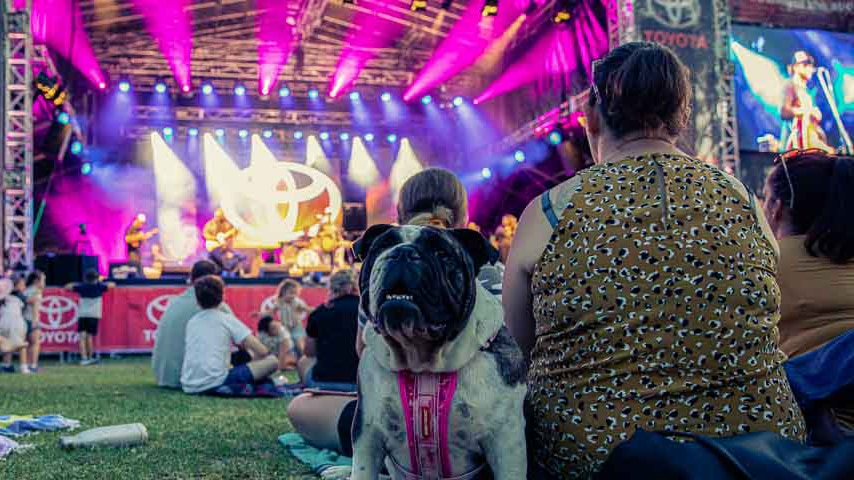 A scattering of people sit on grass, watching a band perform on a festival stage.