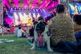 A scattering of people sit on grass, watching a band perform on a festival stage.