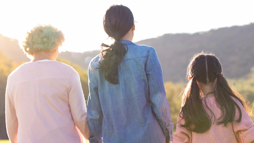 back view of a girl, a woman and a mature woman holding hands and looking out onto the grass