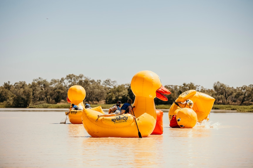 People racing giant inflatable ducks in a river