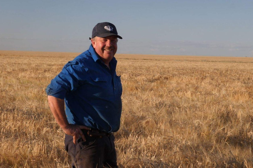 A smiling farmers stands in a field of barley