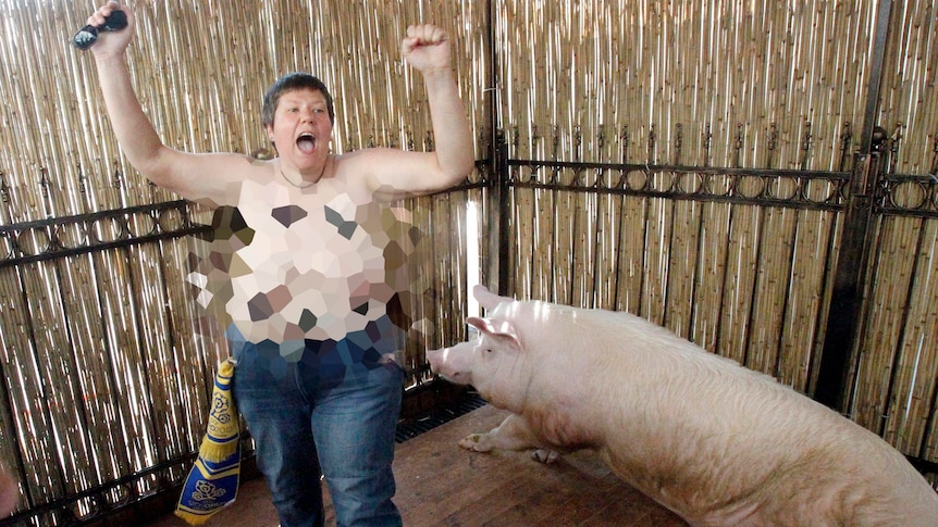 A half-naked activist protests in the pen of Funtik, the pig that predicts the results of Euro 2012.