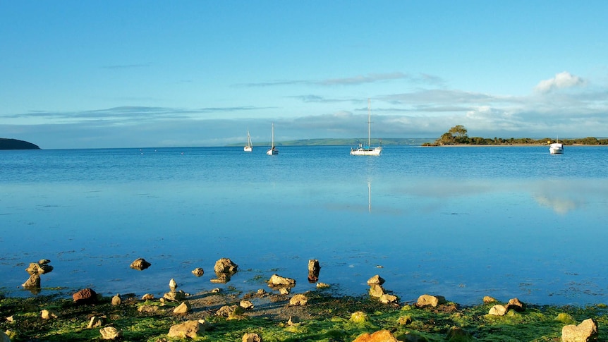 American River in Kangaroo Island