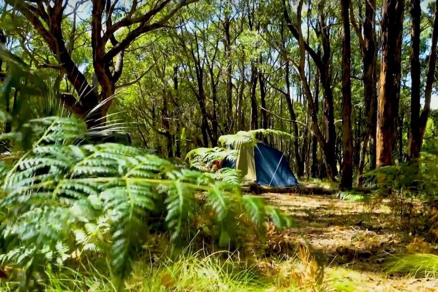 A tent in bushland.