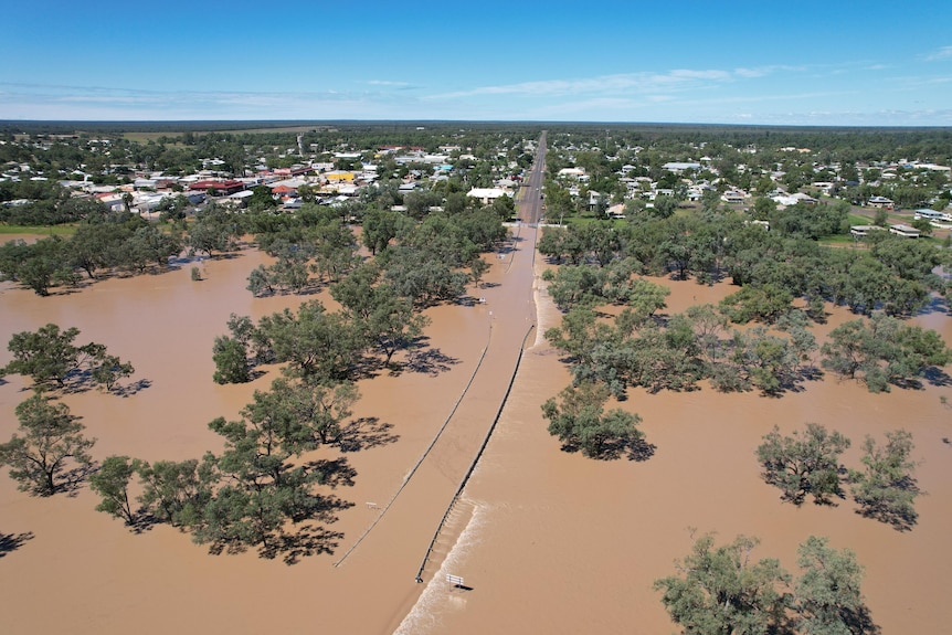 A mass of brown water covering a road. Shot from above, trees poke up. In the distance is a town. 