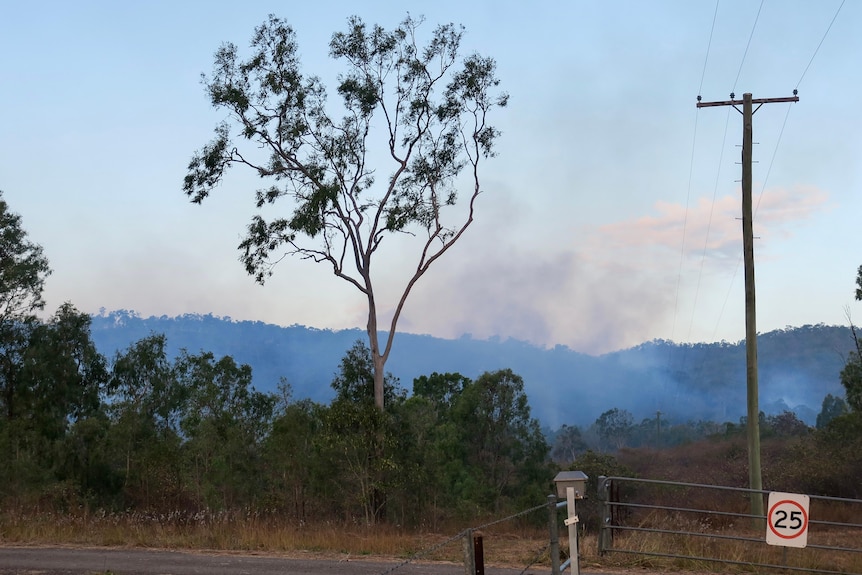 Smoke rises out of a valley, trees and a fence in the foreground. 