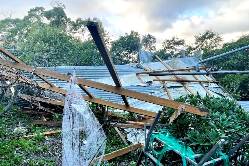 A buckled roof lies in a backyard