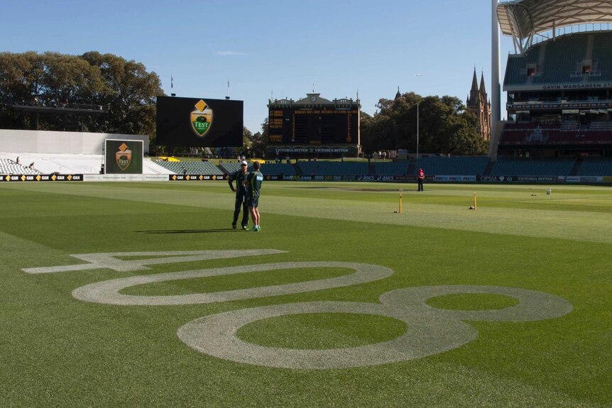 Phillip Hughes' baggy green number, 408, painted on the surface of the Adelaide Oval.