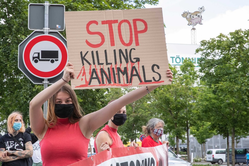 Animal rights activists protest in front of the Toennies meatpacking plant and slaughterhouse in Rheda-Wiedenbrueck, Germany
