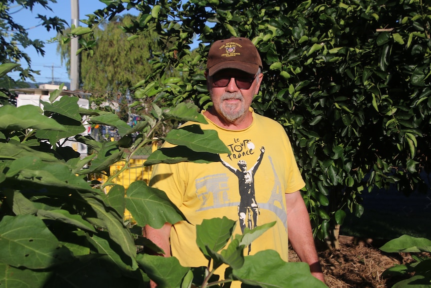 Neryl in a yellow shirt and brown cap standing behind a large green plant