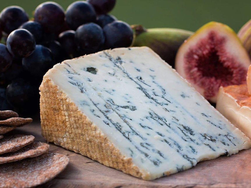 A wedge of buffalo blue cheese on a plate with crackers and fruit.