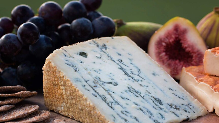 A wedge of buffalo blue cheese on a plate with crackers and fruit.