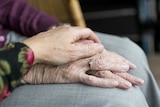 older persons hands being held by a younger persons hands a caring image