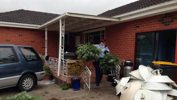 Police remove cannabis, drug paraphernalia from St Albans house