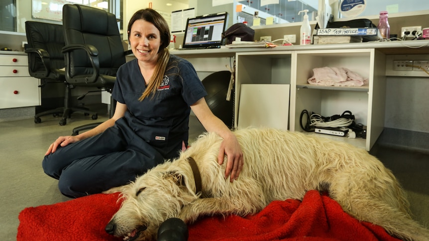 Woodend vet Dr Jocelyn West sitting down with her two-year-old pet dog Hunter lying down.
