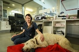 Woodend vet Dr Jocelyn West sitting down with her two-year-old pet dog Hunter lying down.