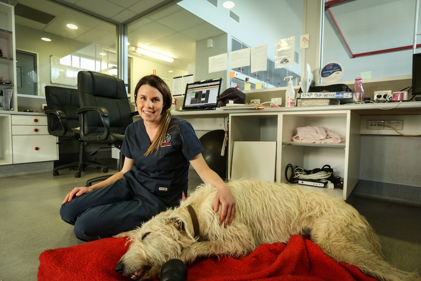 Woodend vet Dr Jocelyn West sitting down with her two-year-old pet dog Hunter lying down.