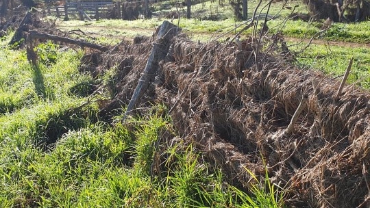 A fence in a paddock with flood debris stuck all over it