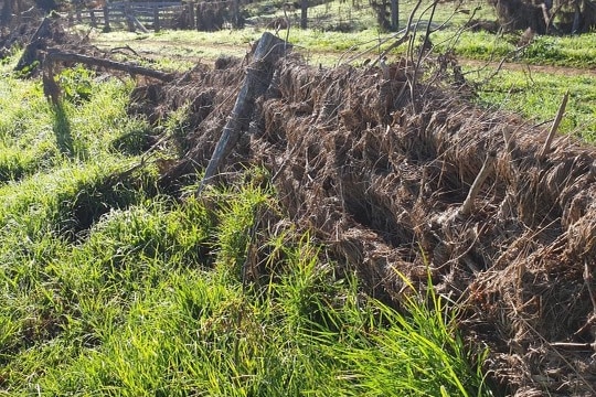 A fence in a paddock with flood debris stuck all over it
