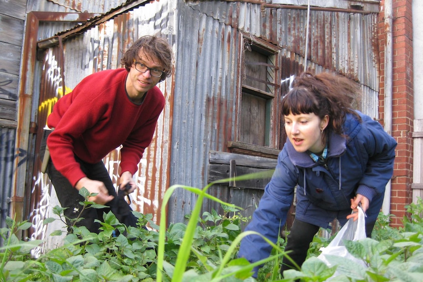 Adam Grubb and Annie Raser-Rowland foraging for weeds.